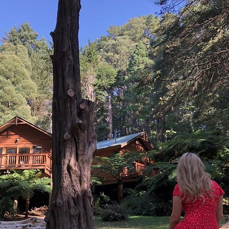 Chudleigh Park Cottages Sassafras 외부 사진