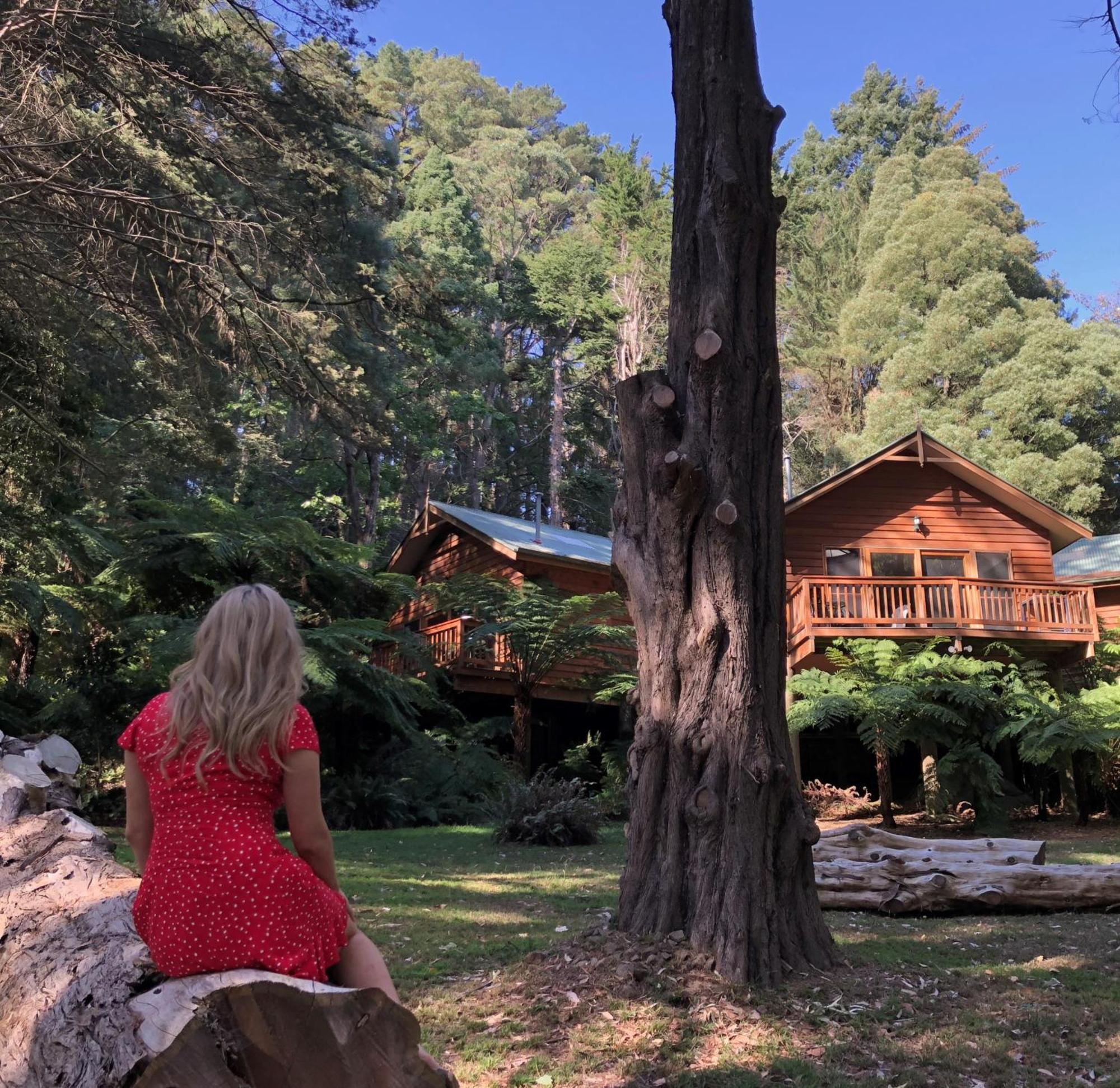 Chudleigh Park Cottages Sassafras 외부 사진